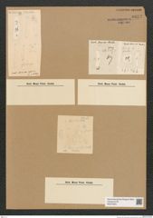 Diatomeae indet. Zeichnungen Sammlung Grunow Nr. 6632 (NHMW-BOT-W0375404)